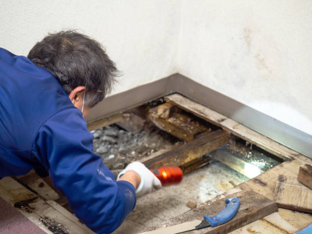Best Mold Testing  in Tuttle, OK
