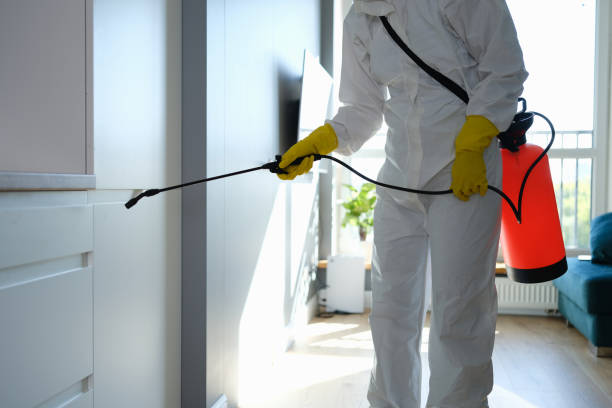 Best Home Mold Removal  in Tuttle, OK