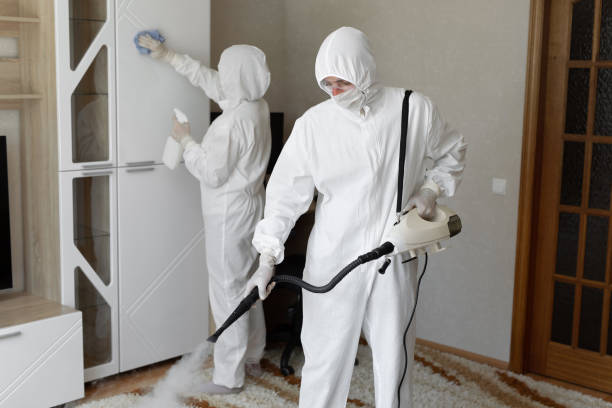 Best Commercial Mold Removal  in Tuttle, OK