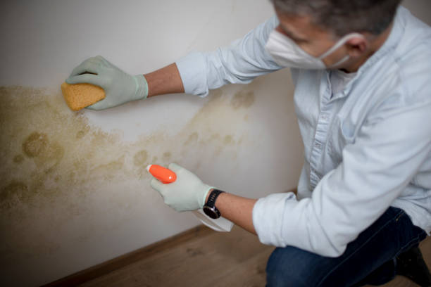 Best Mold Remediation Services  in Tuttle, OK