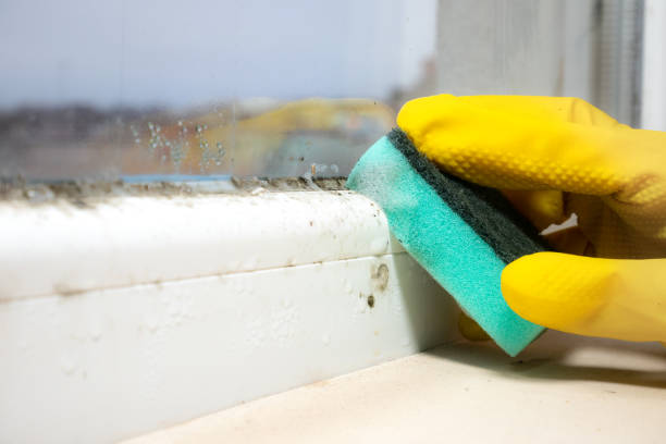 Best Emergency Mold Removal  in Tuttle, OK