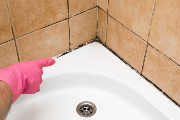 Best Mold Remediation  in Tuttle, OK